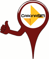 logo caronas.png